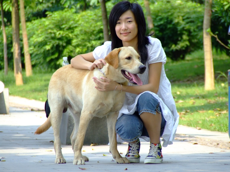 风中的绿叶的第一张照片--梅州相亲服务中心