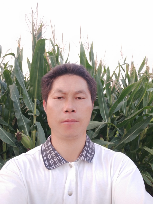 四海游龙的第二张照片--梅州相亲服务中心