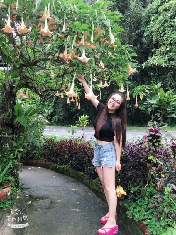 离异单身无子的第二张照片--梅州相亲服务中心