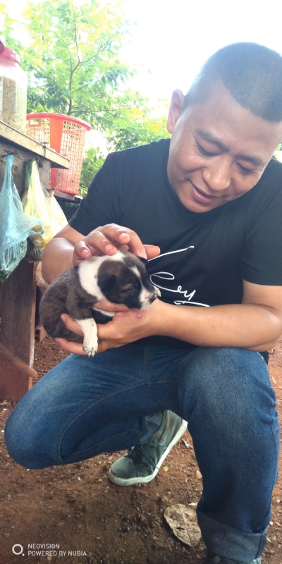 深圳相亲的第一张照片--梅州相亲服务中心