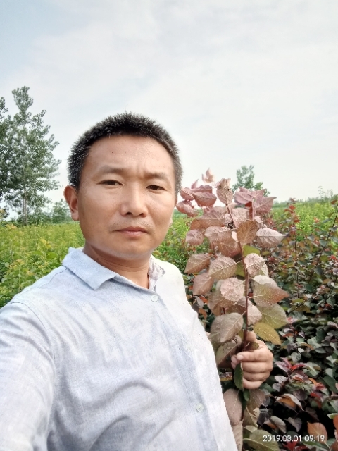 孩子爸的第一张照片--梅州相亲服务中心