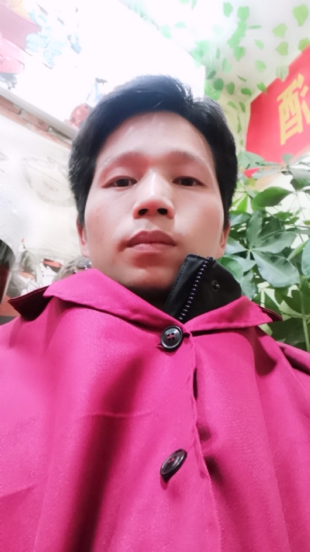 单身的林凡的第二张照片--梅州相亲服务中心