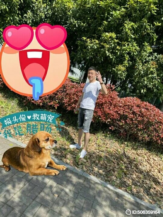 我若不坚强谁替我勇敢的第五张照片--梅州相亲服务中心