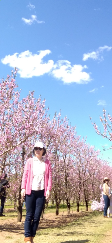 Grace的第二张照片--梅州相亲服务中心