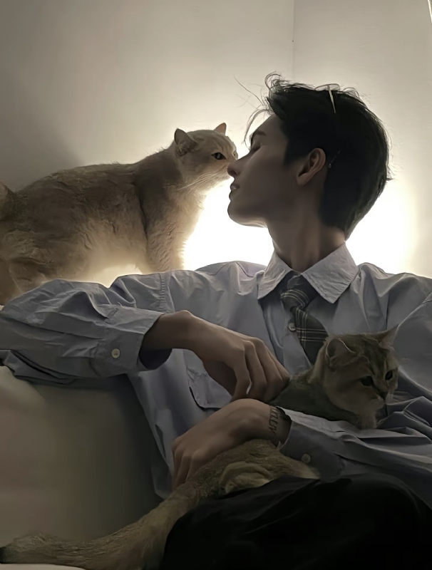 怪猫的第一张照片--梅州相亲服务中心