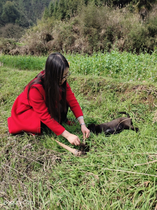 下一个春和秋的第一张照片--梅州相亲服务中心