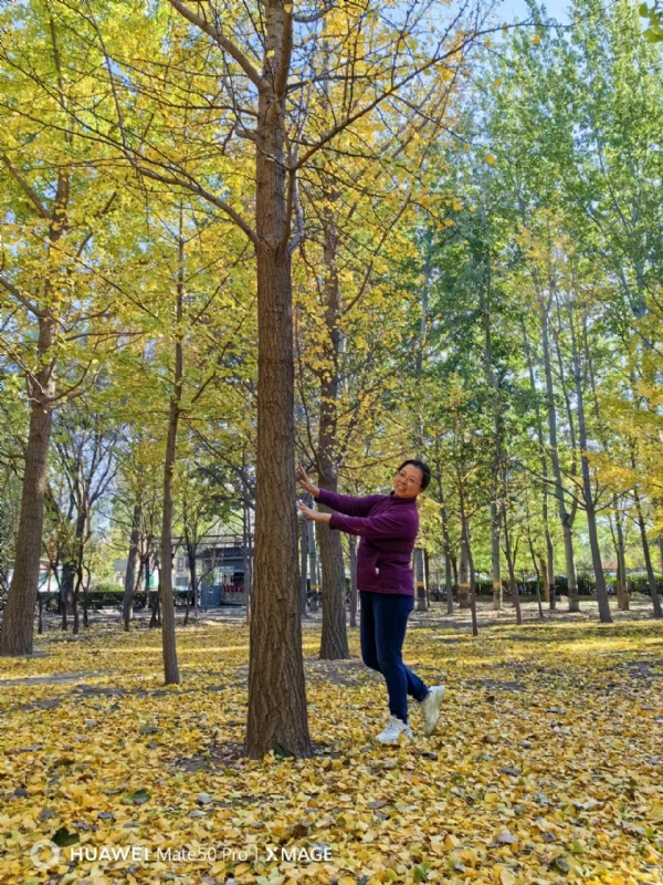 Shirley的第三张照片--梅州相亲服务中心