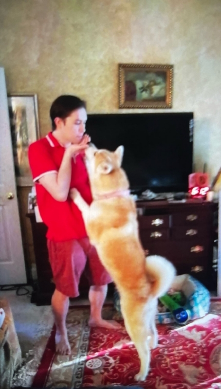 Leluch的第一张照片--梅州相亲服务中心