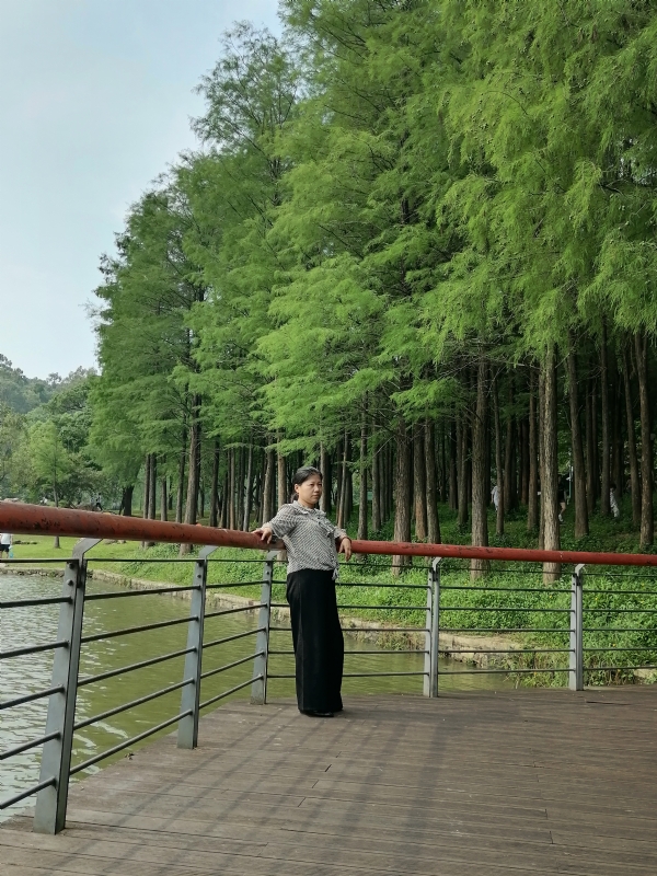 遗失的记忆的第二张照片--梅州相亲服务中心