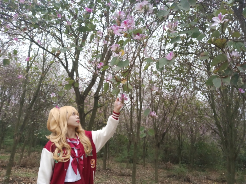 暮秋的第二张照片--梅州相亲服务中心