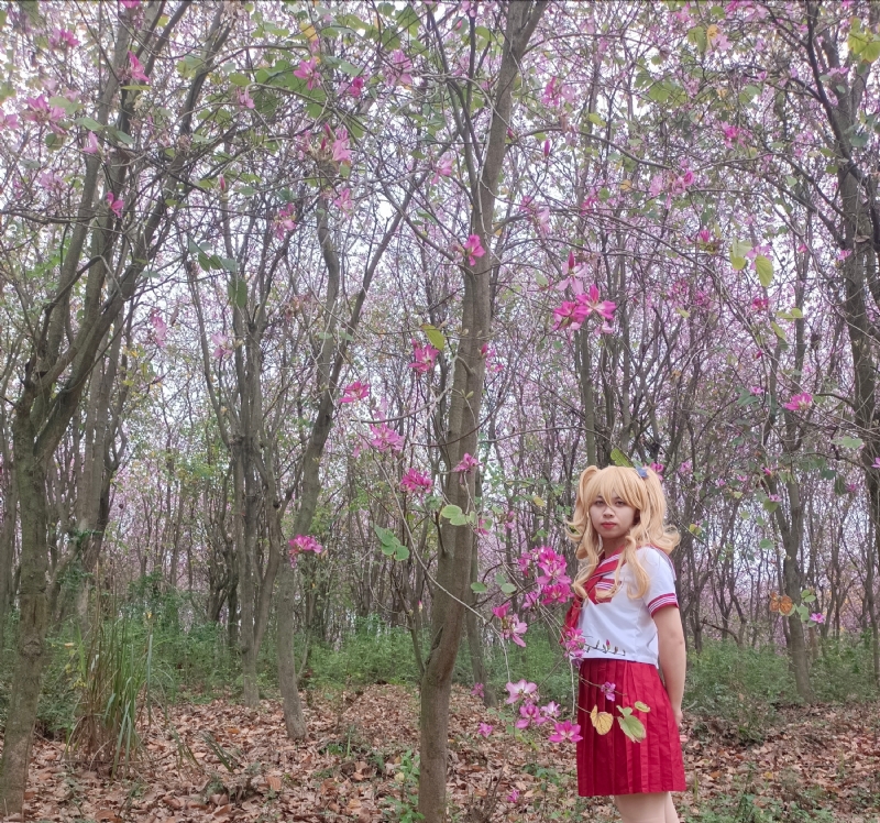 暮秋的第三张照片--梅州相亲服务中心