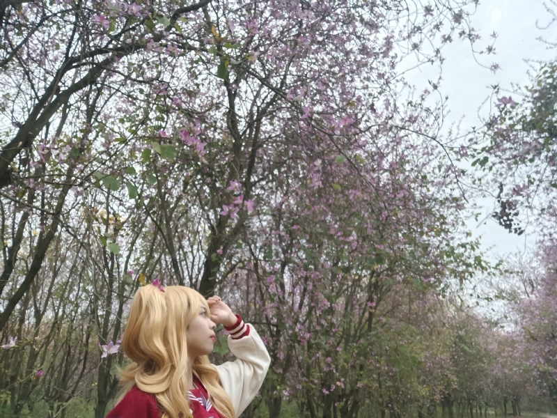 暮秋的第五张照片--梅州相亲服务中心