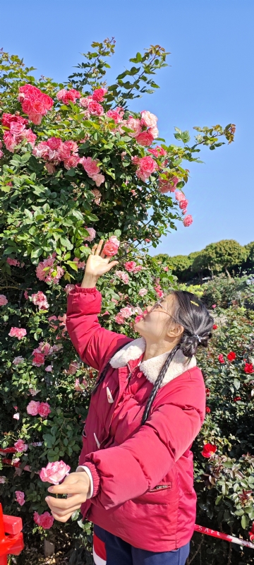 狗狗的第一张照片--梅州相亲服务中心