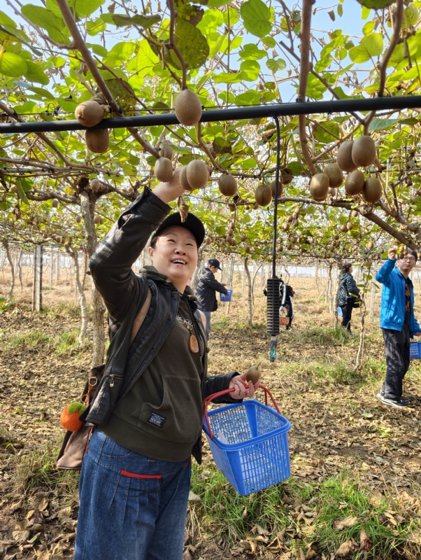 夜莺的第三张照片--梅州相亲服务中心